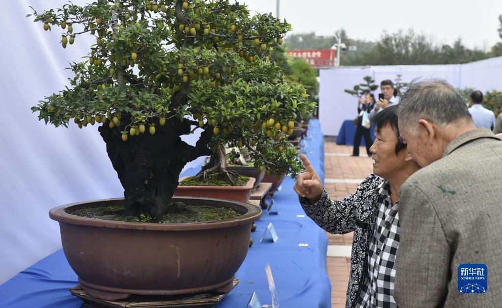 娱乐电子游戏